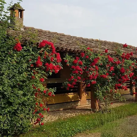 San Ruffillo Sleeps 12 With Pool And Wifi Villa *